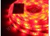 LED лента 5050/30 герметичная (IP65) premium